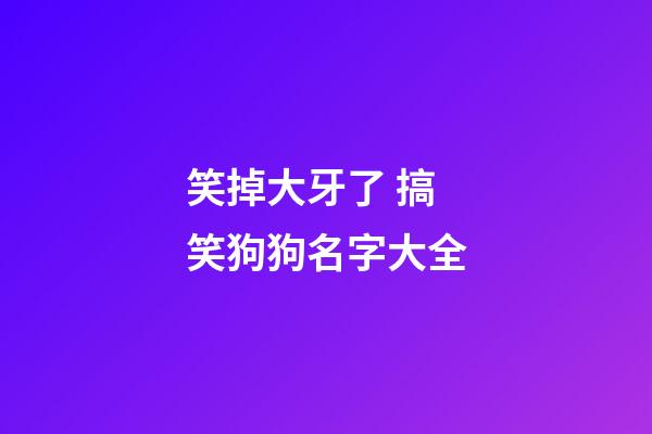 笑掉大牙了 搞笑狗狗名字大全